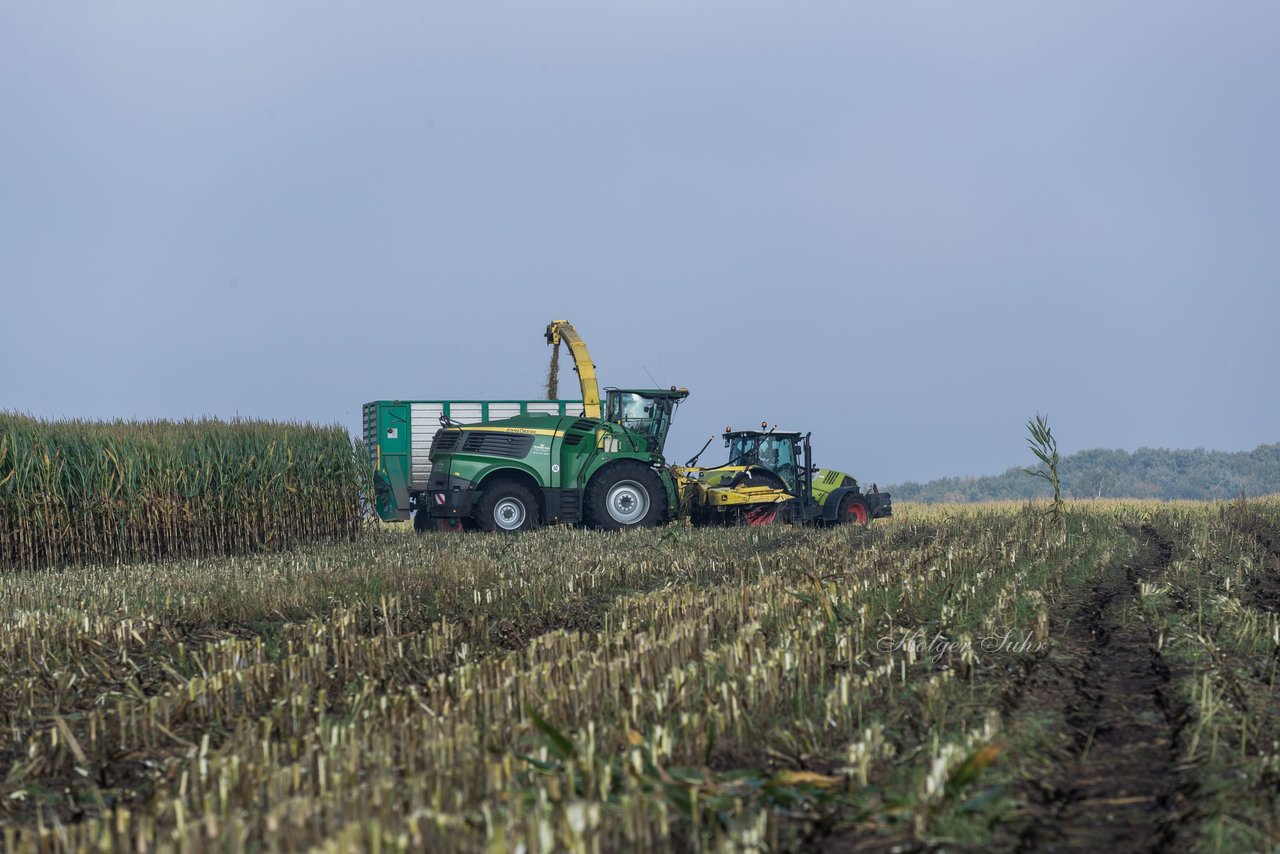 Bild 129 - Maisernte